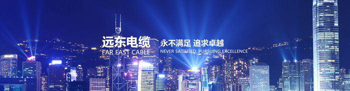 远东电缆集团 远东电缆集团